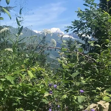 Montchavin Les Cotes Vue Mont-blanc *